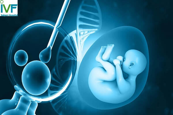 thụ tinh ống nghiệm ivf