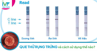 Que thử rụng trứng và cách sử dụng như thế nào?