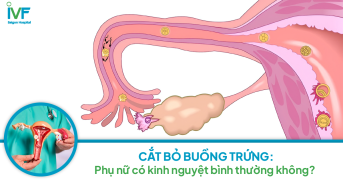 CẮT BỎ BUỒNG TRỨNG: Phụ nữ có kinh nguyệt như bình thường không?