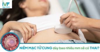 NIÊM MẠC TỬ CUNG: Có độ dày bao nhiêu mm sẽ có thai được?