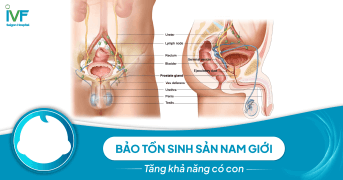 Bảo tồn sinh sản nam giới tăng khả năng có con