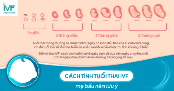 Cách tính tuổi thai IVF chuẩn nhất mẹ bầu nên lưu ý 