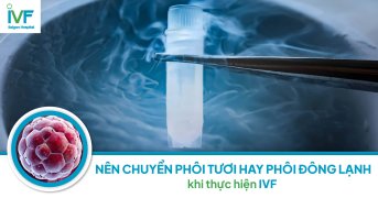 Nên chuyển phôi tươi hay phôi đông lạnh khi thực hiện IVF