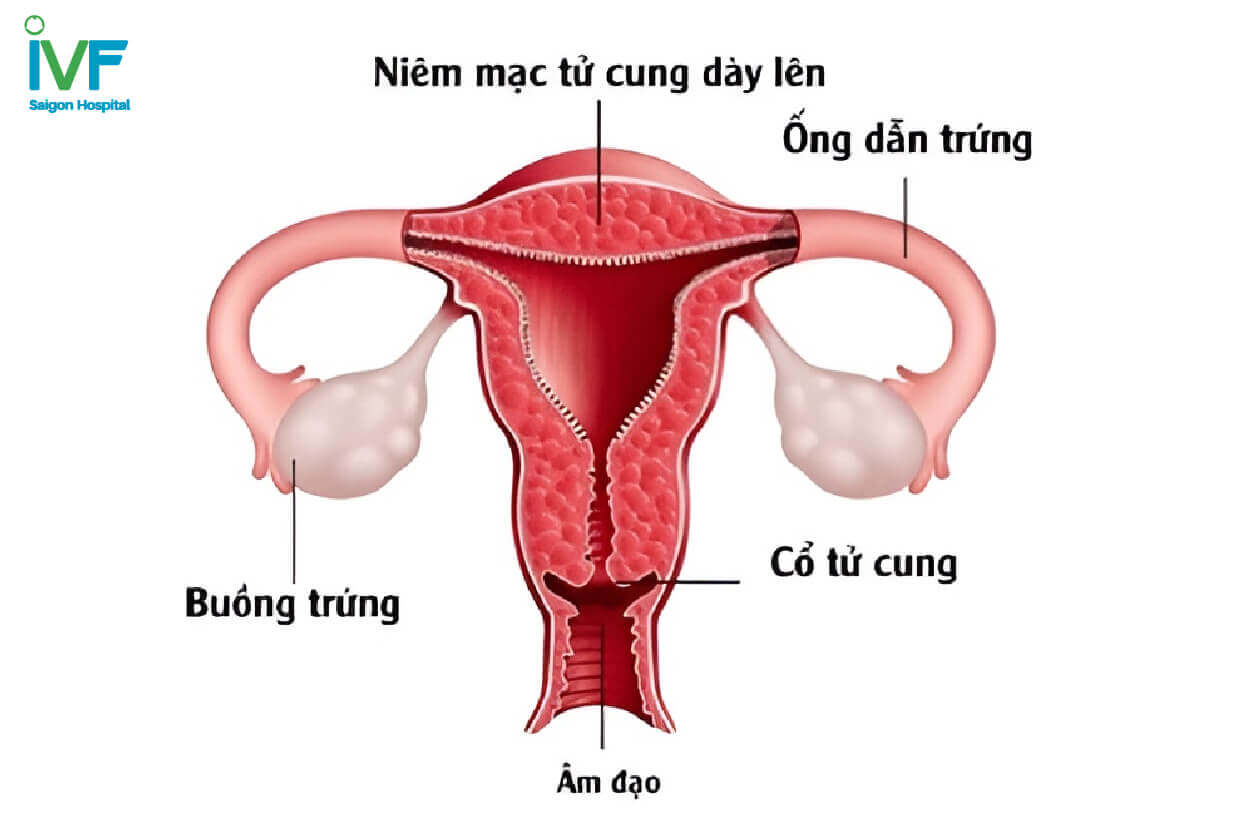 tỷ lệ thành công IVF