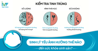 Sinh lý yếu ảnh hưởng thế nào đến sức khỏe sinh sản?