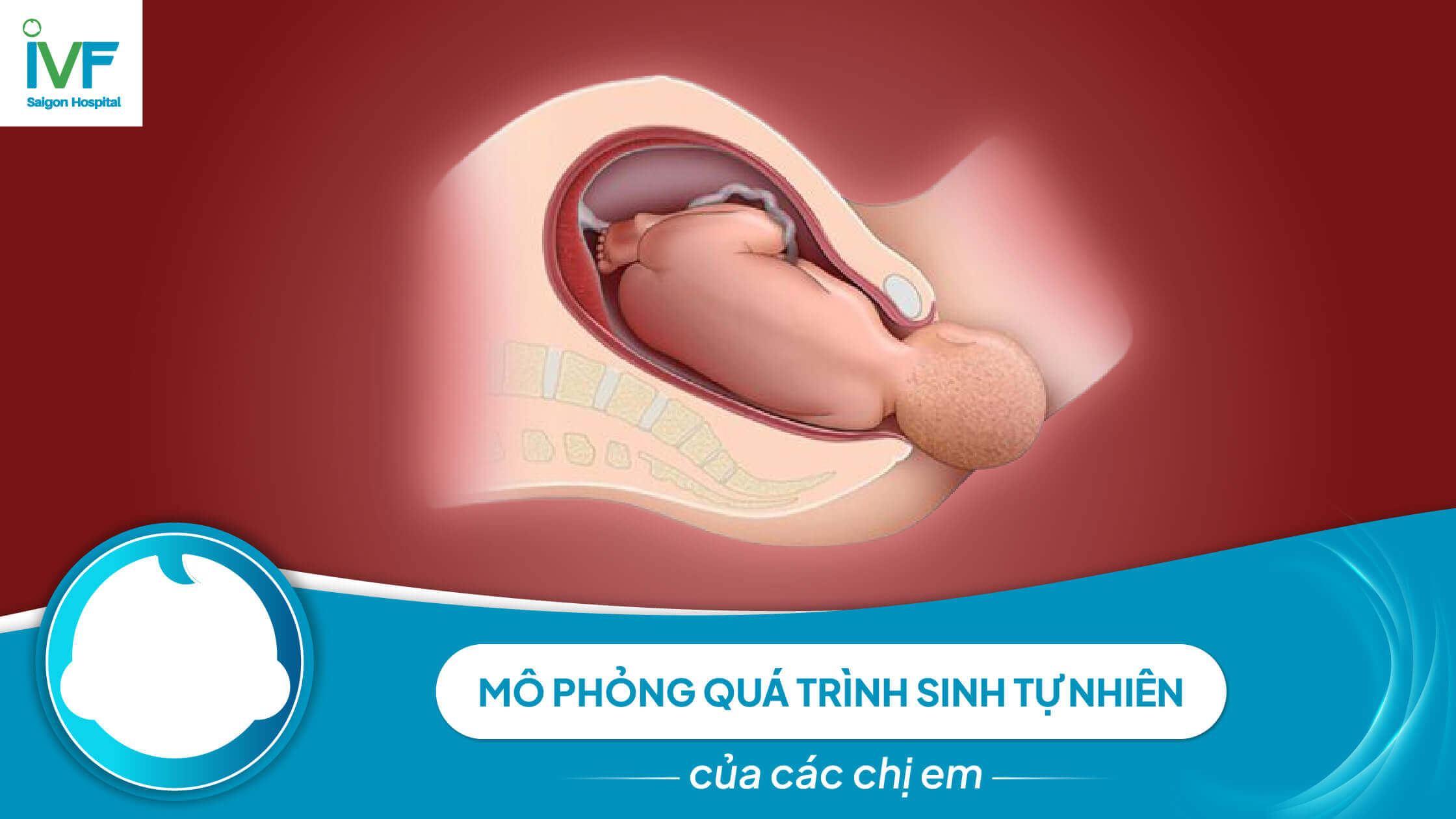 SINH TỰ NHIÊN dưới góc nhìn hoạt họa