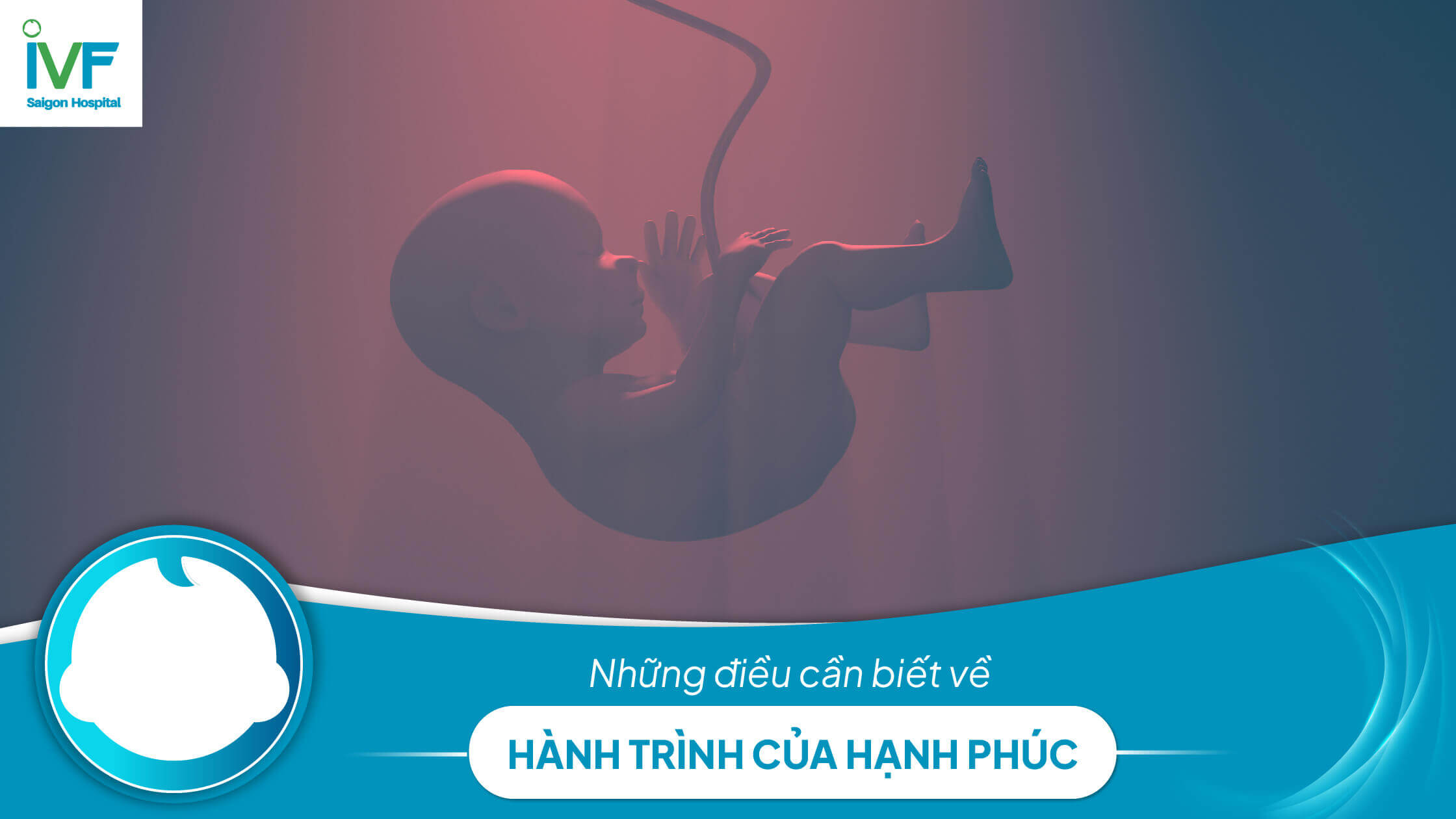  Hành trình bé yêu đến với mẹ