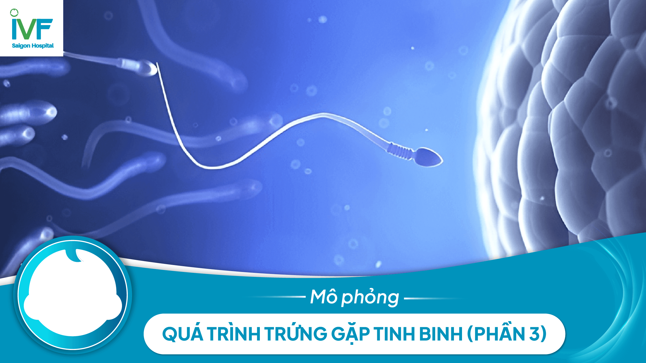 Cuộc chạy đua marathon của TINH BINH (P3)