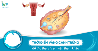 Thời điểm vàng canh trứng để thụ thai chị em nên tham khảo