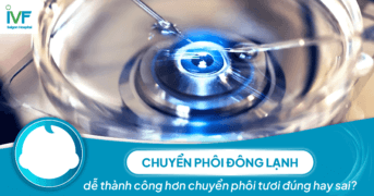 Chuyển phôi đông lạnh dễ thành công hơn chuyển phôi tươi đúng hay sai?