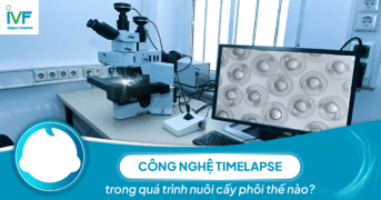 Công nghệ Timelapse trong quá trình nuôi cấy phôi thế nào?