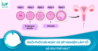 Nuôi phôi dài ngày và xét nghiệm làm tổ sẽ như thế nào?