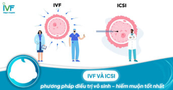 IVF và ICSI phương pháp điều trị vô sinh – hiếm muộn tốt nhất