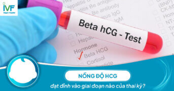 Nồng độ HCG đạt đỉnh vào giai đoạn nào của thai kỳ?