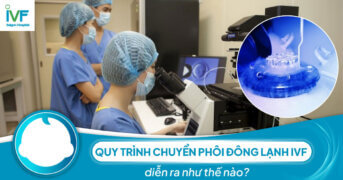 Quy trình chuyển phôi đông lạnh IVF diễn ra như thế nào?