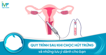 Quy trình sau chọc hút trứng và những lưu ý dành cho bạn