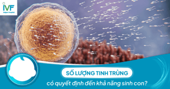 Số lượng tinh trùng có quyết định đến khả năng sinh con?