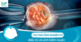 Thụ tinh ống nghiệm IVF điều trị vô sinh hiếm muộn 