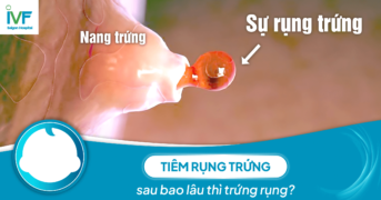 Tiêm rụng trứng sau bao lâu thì trứng rụng?