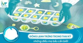 Đông lạnh trứng trong thai kỳ và những điều mẹ bầu cần biết