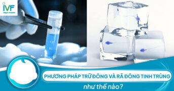 Phương pháp trữ đông và rã đông tinh trùng như thế nào?