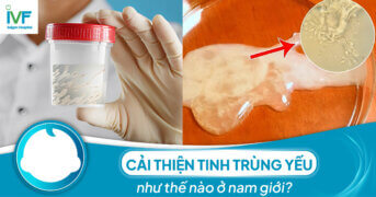 Cải thiện tinh trùng yếu như thế nào ở nam giới?