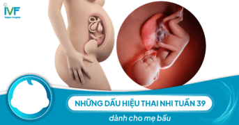 Những dấu hiệu thai nhi tuần 39 dành cho mẹ bầu