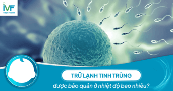 Trữ lạnh tinh trùng được bảo quản ở nhiệt độ bao nhiêu?