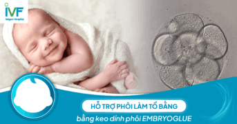 Hỗ trợ phôi làm tổ bằng keo dính phôi EMBRYOGLUE