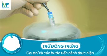 Trữ đông trứng: Chi phí và các bước tiến hành thực hiện thế nào?