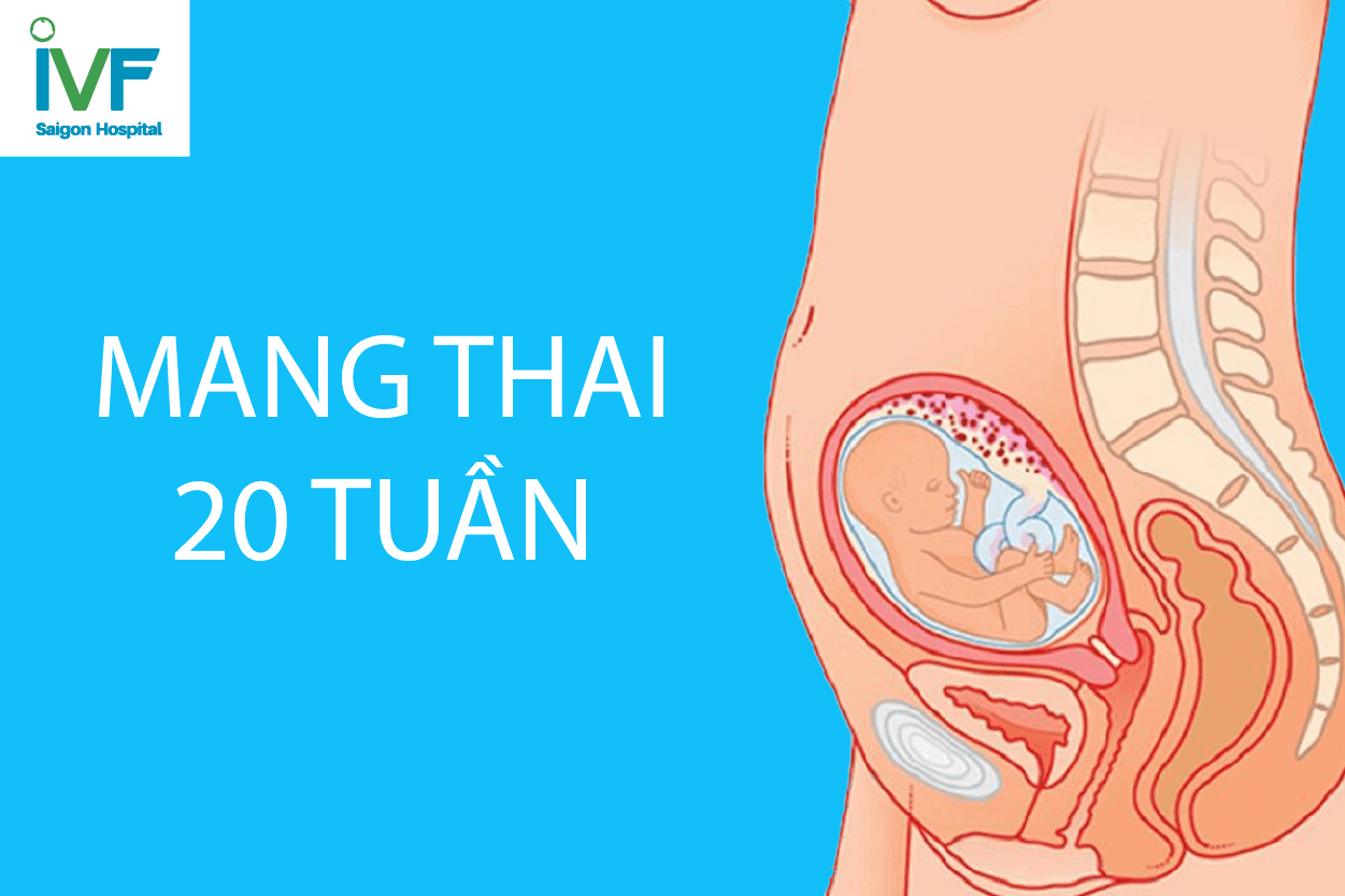 thai-tuan-20