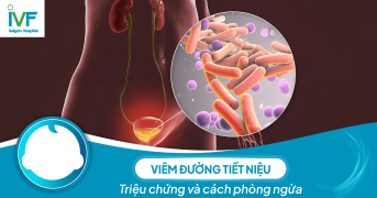 Viêm đường tiết niệu: Triệu chứng và cách phòng ngừa