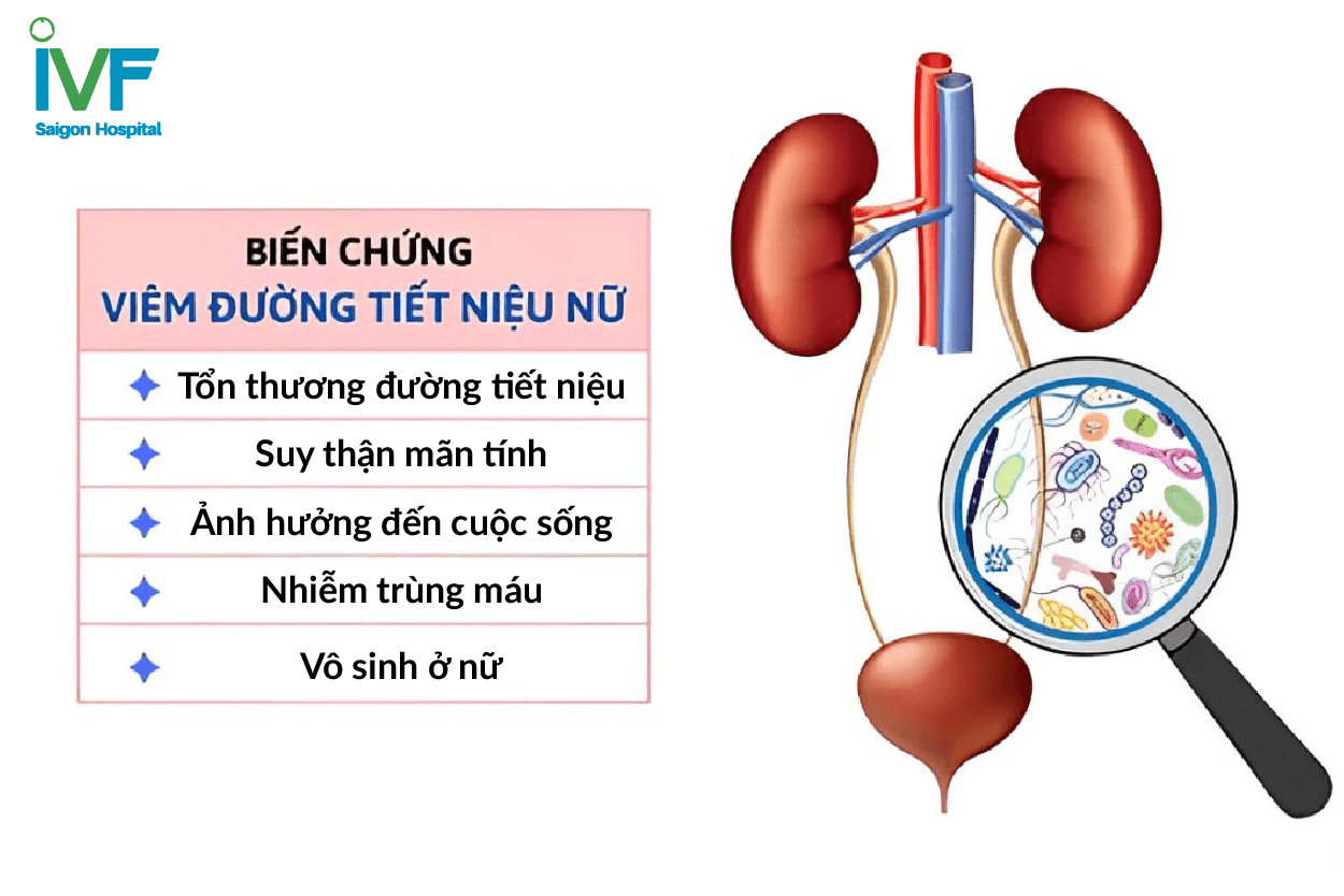 viem-duong-tiet-nieu-o-nu-gioi