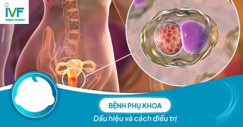 Bệnh phụ khoa: Dấu hiệu và cách điều trị như thế nào?