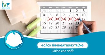 4 cách tính ngày rụng trứng chính xác nhất