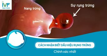 Cách nhận biết dấu hiệu rụng trứng chính xác nhất