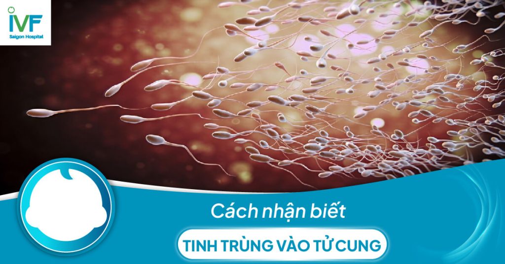 Cách nhận biết tinh trùng vào tử cung