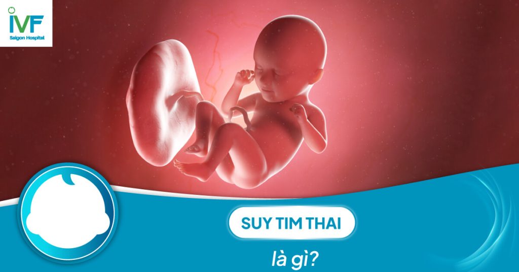 Suy tim thai là gì? Nguy cơ và cách phòng ngừa
